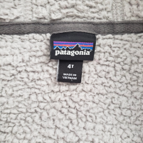 Patagonia gray hoodie 4t - Picture 4 of 5